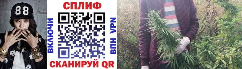 Магазины продажи наркотиков Невьянск Марихуана  Галлюциногенные грибы  ГАШ  Меф 
