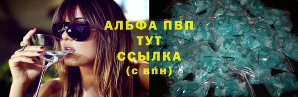 индика Алексеевка