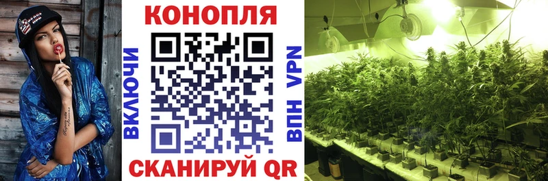мега маркетплейс  Невьянск  Бошки марихуана Amnesia 